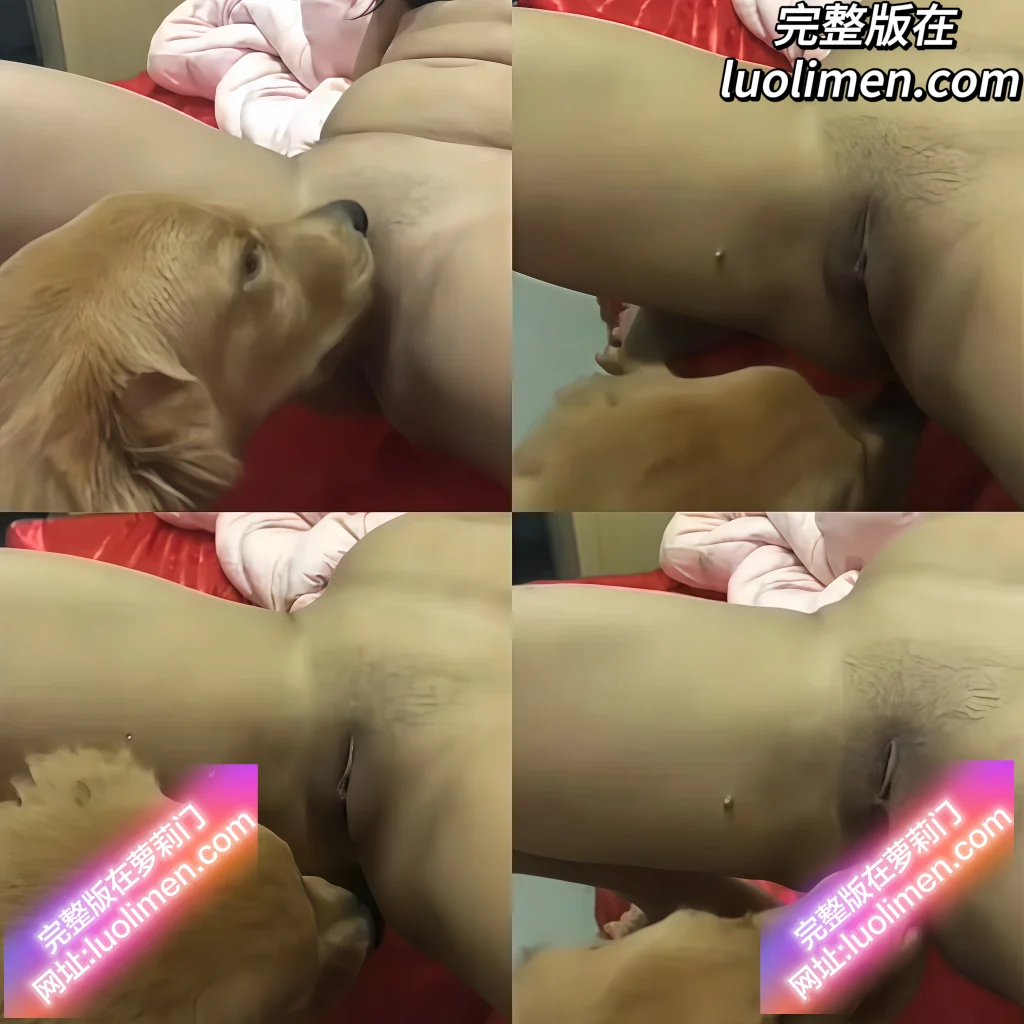 人兽大战 - 大黄狗禽兽大发女主人翘腿爱犬舔蜜穴娇喘享受全过程-萝莉门 LUOLIMEN